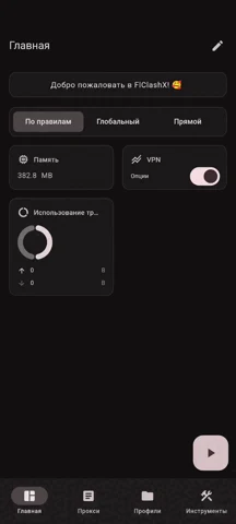 FlClashX 官方界面预览 1