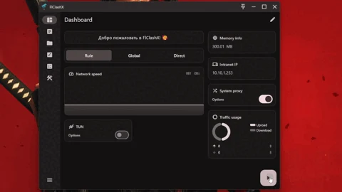 FlClashX 官方界面预览 1
