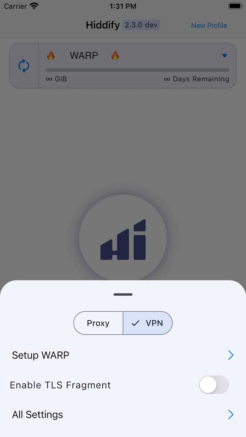 Hiddify iPhone 官方界面预览 4