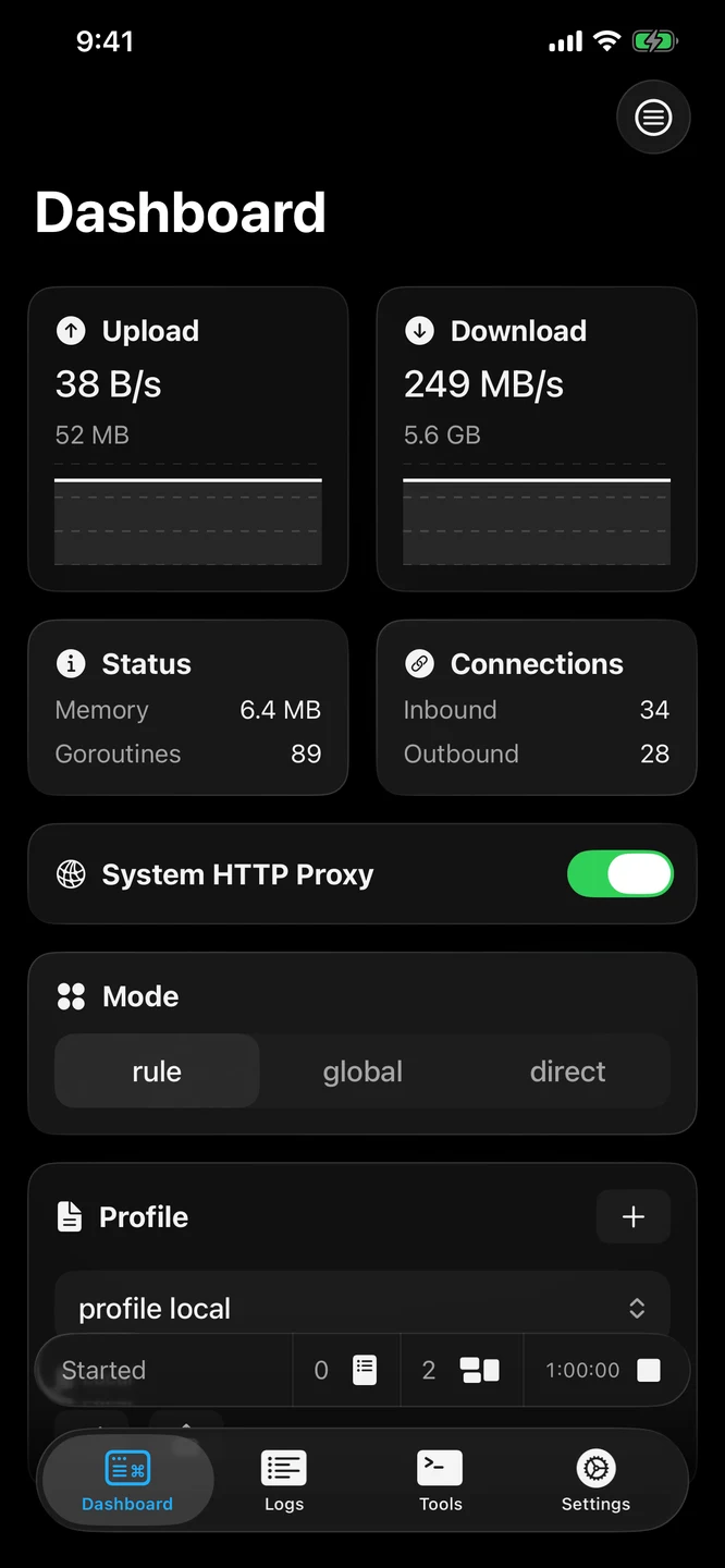 sing-box iPhone 官方界面预览 1